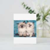 Schattige "Hug me" Perzische Kittens Briefkaart (Staand voorkant)