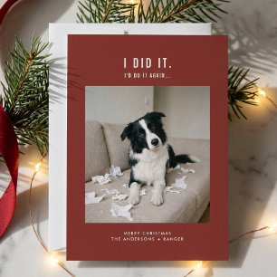 Schattige huisdier grappige hond foto kerst feestdagenkaart