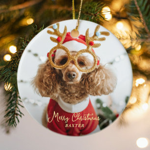Schattige Huisdier Kerstfoto Naughty Dog Funny Pup Keramisch Ornament