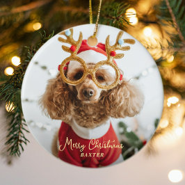 Schattige Huisdier Kerstfoto Naughty Dog Funny Pup Keramisch Ornament