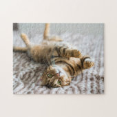 Schattige huisdieren 11 x 14 inch legpuzzel (Horizontaal)