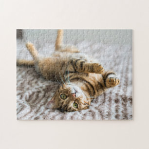 Schattige huisdieren 11 x 14 inch legpuzzel