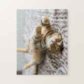 Schattige huisdieren 11 x 14 inch legpuzzel (Verticaal)