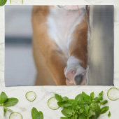 Schattige huisdierhond theedoek (Gevouwen)