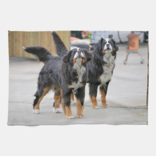 Schattige huisdierhond theedoek
