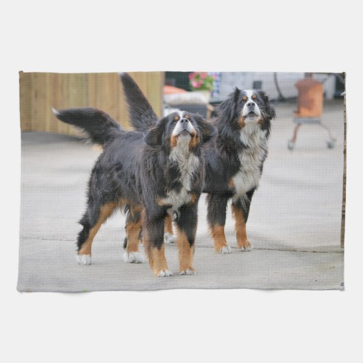 Schattige huisdierhond theedoek (Horizontaal)