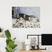 Schattige Husky Dog Mooi Portret Poster (Thuiskantoor)