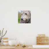 Schattige Ierse Wolfhound Poster (Keuken)