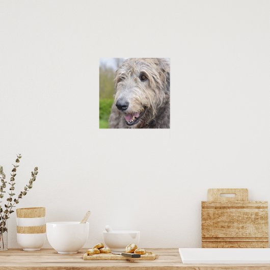 Schattige Ierse Wolfhound Poster (Keuken)