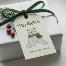 Schattige ijsbeer met groene sjaal Kerstmis Cadeaulabel