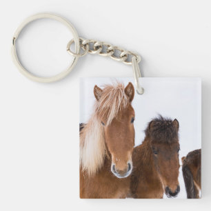 Schattige IJslandse paarden bij elkaar Sleutelhanger