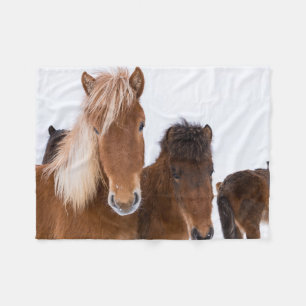Schattige IJslandse paarden samen Fleece Deken