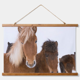 Schattige IJslandse paarden samen Hangend Wandkleed