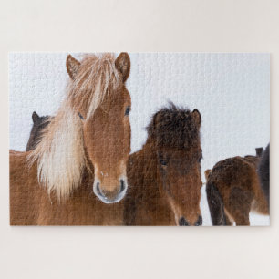 Schattige IJslandse paarden samen Legpuzzel