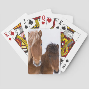 Schattige IJslandse paarden samen Pokerkaarten