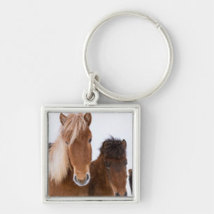 Schattige IJslandse paarden samen Sleutelhanger