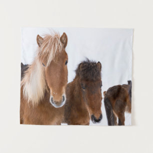 Schattige IJslandse paarden samen Wandkleed
