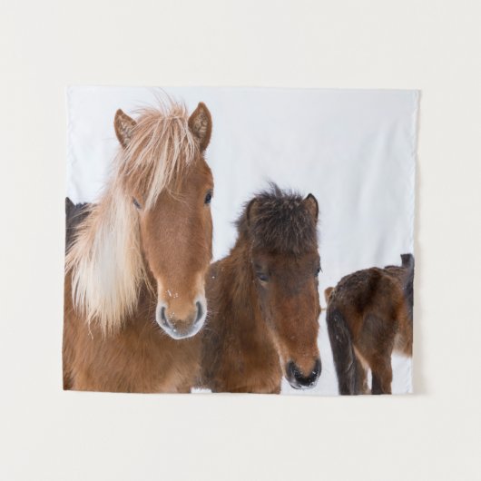 Schattige IJslandse paarden samen Wandkleed (Voorkant (horizontaal))