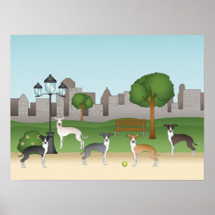 Schattige Italiaanse Greyhound-honden in park cart Poster