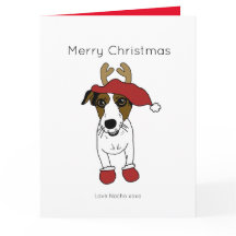 Schattige Jack Russell Terrier Hond Kerstman Santa