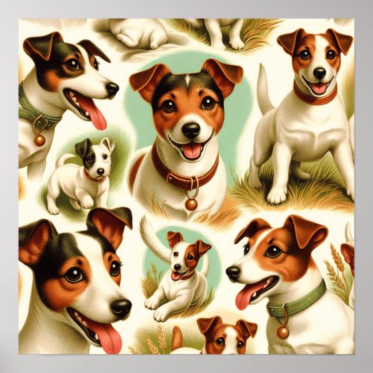  Schattige Jack Russell Terrier Poster (Voorkant)