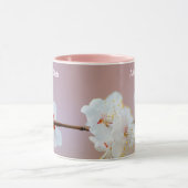 Schattige Japanse Abrikozenbloesems Mok (Midden)