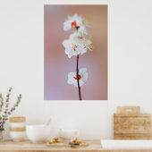 Schattige Japanse Abrikozenbloesems Poster (Keuken)