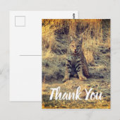 Schattige jonge bobcat bedankt briefkaart (Voorkant / Achterkant)