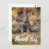 Schattige Jonge Bobcat Dank Je Briefkaart (Voorkant / Achterkant)