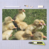 schattige jonge dieren uit de boerderij tissuepapier (Craft)