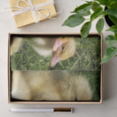 schattige jonge dieren uit de boerderij tissuepapier (Geschenk)