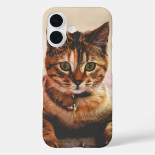Schattige Jonge Lapjeskat Kitten Poes Huisdier iPhone 16 Hoesje