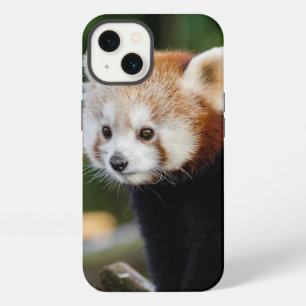 Schattige Jonge Rode Panda iPhone 13 Hoesje