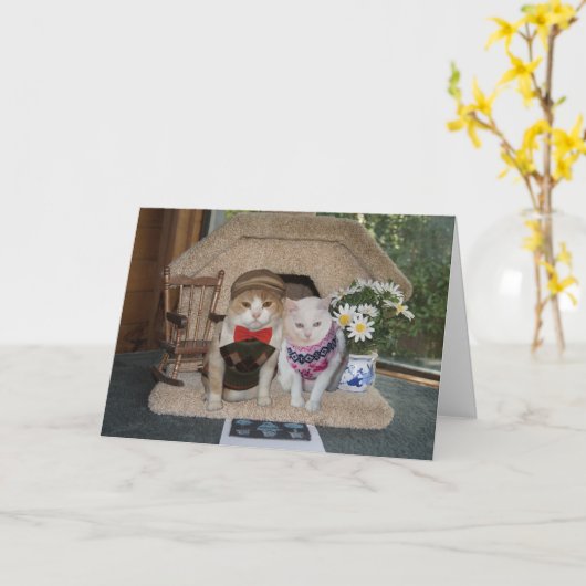 Schattige jubileum met poezen in argyle truien kaart (Gele Bloem)