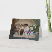 Schattige jubileum met poezen in argyle truien kaart (Voorkant)