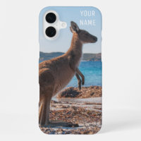 Schattige kangoeroe op het strand Zomer Australië