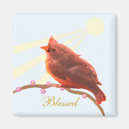 Schattige kardinaalvogel & zonneschijn magneet