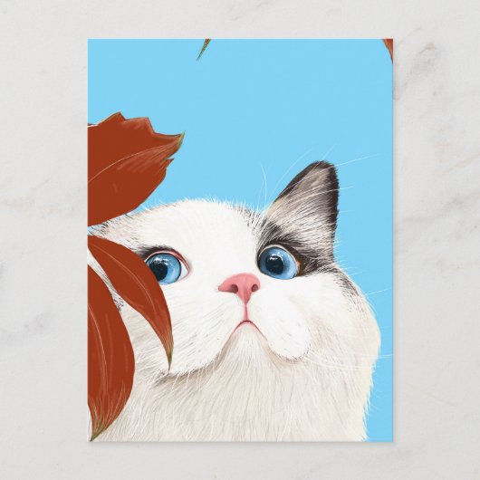 Schattige Kat Ansichtkaart Briefkaart (Voorkant)