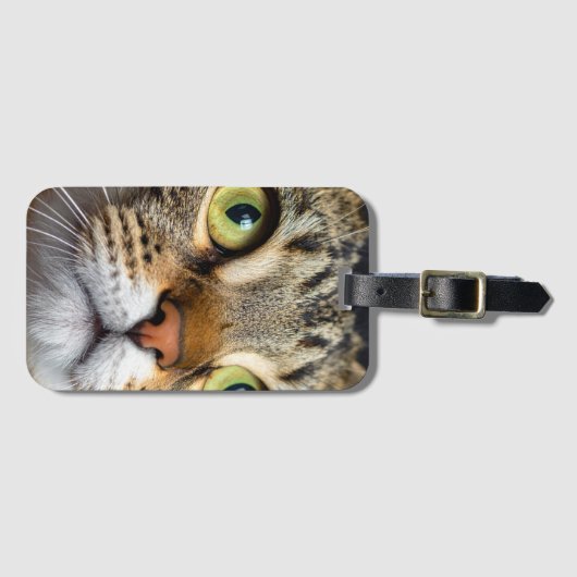 Schattige kat bagagelabel (Voorkant (horizontaal))