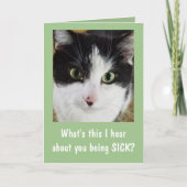 Schattige Kat Beterschap Kaart (Voorkant)