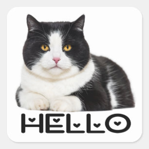 Schattige Kat Hallo Zwart Wit Kitten Vierkante Sticker
