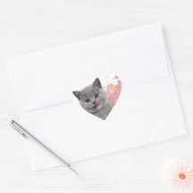 Schattige kat