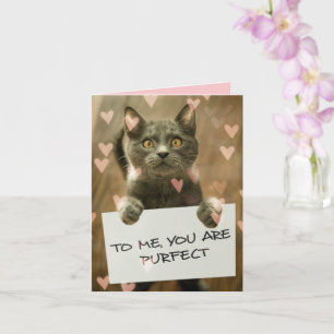 Schattige Kat & Hartjes Je bent perfect Kaart
