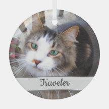 Schattige kat huisdier liefhebbers Maak je eigen a