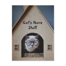 Schattige Kat Humor Grappige Katten Hebben Persone