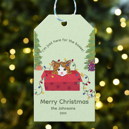 Schattige Kat in een Doos Alleen voor de Dozen Ker Cadeaulabel
