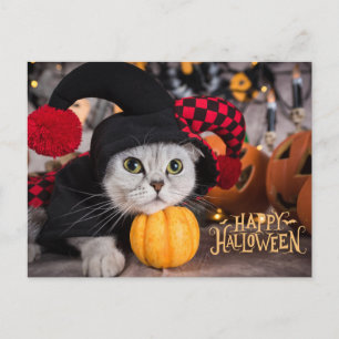 Schattige kat in grappig Halloween-kostuum  Feestdagenkaart