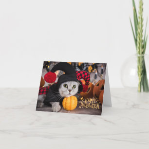 Schattige kat in grappig Halloween-kostuum  Kaart