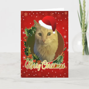 Schattige kat in Kerstmis in Santa Hat Feestdagen Kaart