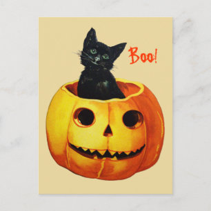Schattige Kat in Pompoen Vintage Halloween Ansicht Briefkaart